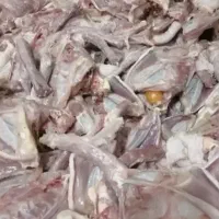 استخوان مرغ برای حیوانات