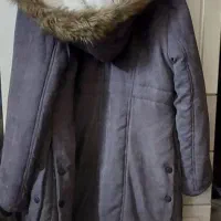 پالتو شیک|لباس|موگوئی, |دیوار