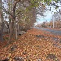 باغچه-345-متری-چهاردیواری-منطقه-شهریار