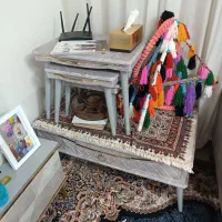 مبل|مبلمان خانگی و میز عسلی|فولادشهر, مسکن مهر فولادشهر|دیوار