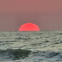 بلیت کنسرت محسن یگانه