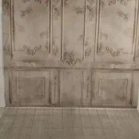 بک دراپ سه تا|دوربین عکاسی و فیلم‌برداری|بروجرد, |دیوار