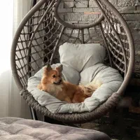 فروش انواع تاب با طراحی خاص|مبلمان خانگی و میز عسلی|آمل, |دیوار