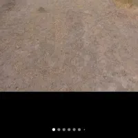 زمین کشاورزی