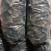 ذغال بشرط همه چی