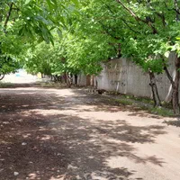 باغ ۳۰۰ متری با درختان مثمر