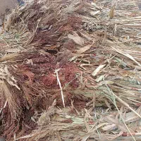 جارو تل قرمز فروشی