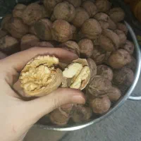 درجه یک
