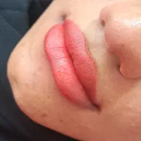 مدل شیدینگ لب و رفع کبودی|خدمات آرایشگری و زیبایی|بم, |دیوار