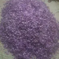 گل زعفران ومثقالی