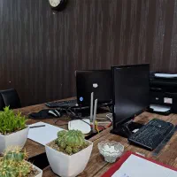 انجام امور مالی و مالیاتی توسط حسابداران با تجربه