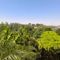ویلا باغ نخل شوشتر