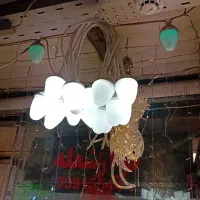 ریسه بلوطی|ریسه و چراغ تزئینی|تهران, لاله زار|دیوار