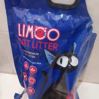 بچه گربه|گربه|حمیدیا, |دیوار