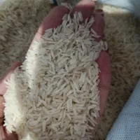 برنج فجر ایرانی