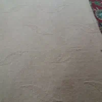 موکت|موکت|طرقبه, |دیوار