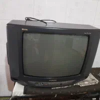 تلویزیون