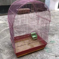قفس عروس هلندی و طوطی