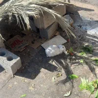 خرگوش سفید|موش و خرگوش|لردگان, |دیوار