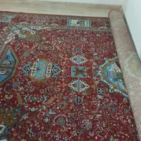 فرش ۱۲ متری سالم|فرش|همدان, |دیوار