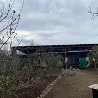 فروش ۵۰۰ متر مسکونی/سند در دست اقدام/ براصلی جماکو