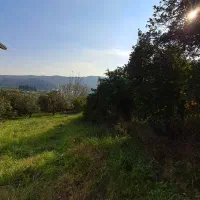 زمین-باچشم-اندازبینظیر