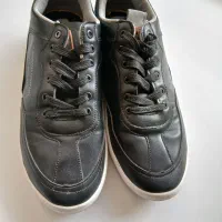 کفش سایز ۴۲