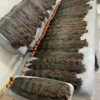 کوتاهی موهای خام و رنگی با پرداخت آنی