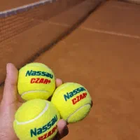 زمین ۳۰۰۰mبرای تاسیس زمین پدل برای مشارکت یا اجاره