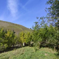 زمین باغی ویلا|فروش خانه و ویلا|رستمکلا, |دیوار