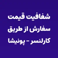 خدمات برنامه نویسی پلاگین وردپرس ووکامرس|خدمات رایانه‌ای و موبایل|کاشان, |دیوار