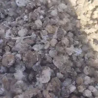 فروش کود مرغی و کبوتر با حمل رایگان