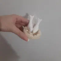 گیفت|صنایع دستی و سایر لوازم تزئینی|اصفهان, شهرک مهدیه|دیوار