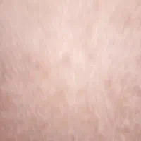 پایه دوربین عکاسی|دوربین عکاسی و فیلم‌برداری|تبریز, |دیوار