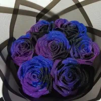 گالری گل رز