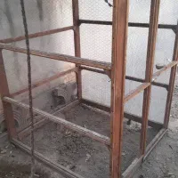 گنجه بزرگ پرنده