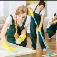 خانم جهت کار نظافت