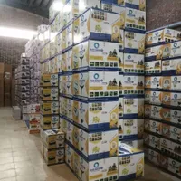دستگاه جوجه کشی 96 عددی ایزی باتور 2 اسکندری