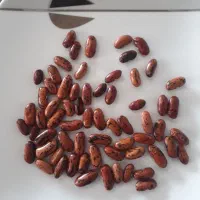 لوبیا چیتی|خوردنی و آشامیدنی|تهران, دریاچه شهدای خلیج فارس|دیوار