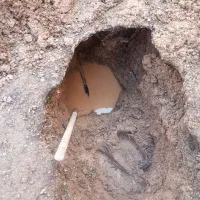 پیکور کاری دیوار جاپی سقف ستون ( سلیمانی)|خدمات پیشه و مهارت|کرمان, |دیوار