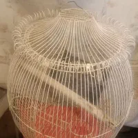 قفس پرنده پایه دار و بزرگ