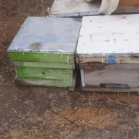 کندوی عسل خالی بدون شکستگی|لوازم جانبی حیوانات|تاکستان, |دیوار