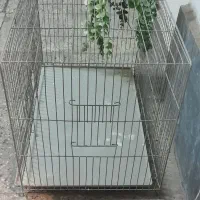 قفس بزرگ (جفت کن قناری) و قفس بزرگ طولی سانان|لوازم جانبی حیوانات|تهران, علم و صنعت|دیوار