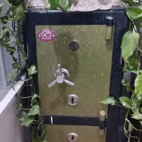 گاو صندوق قدیمی حرفه ای