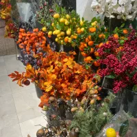 فروشنده خانم و ادمین اینستاگرام