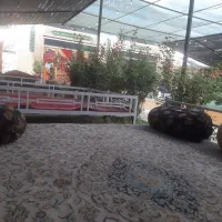 فروش خط دائمی