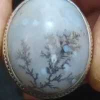 شجر مصور تک درخت زمستان در حال برف قاین
