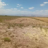 ۴ هکتار زمین کشاورزی با ۵ ساعت آب چاه موتور ۶ اینچ|فروش دفتر صنعتی، کشاورزی، تجاری|چناران, |دیوار