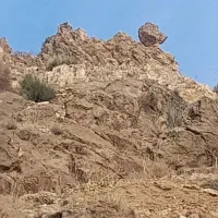 نیرو‌قصاب‌مرغ