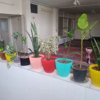 اجاره آپارتمان دوخوابه